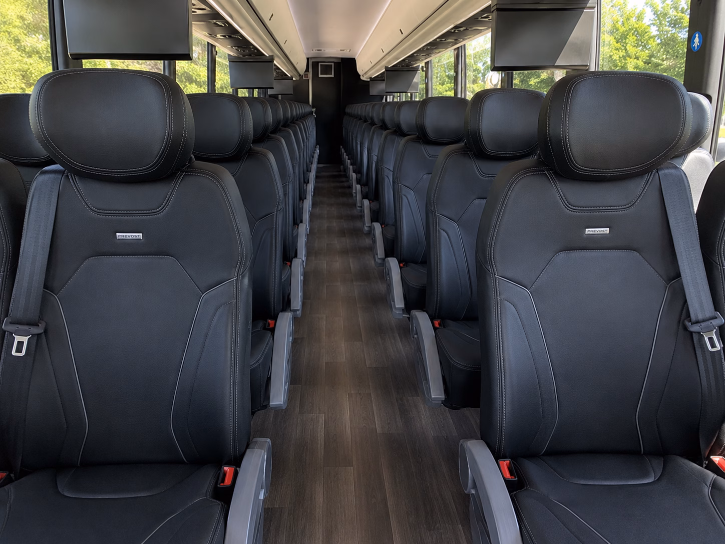 reno charter bus tours to great basin national park and yosemite national park